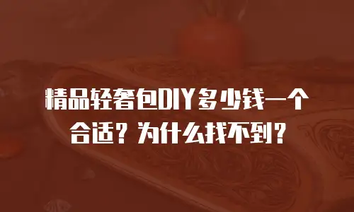 精品轻奢包DIY多少钱一个合适？为什么找不到？