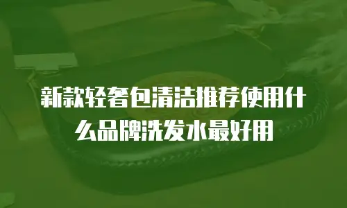 新款轻奢包清洁推荐使用什么品牌洗发水最好用