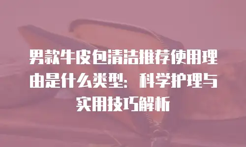 男款牛皮包清洁推荐使用理由是什么类型：科学护理与实用技巧解析