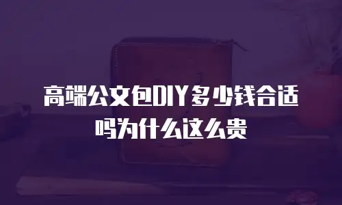 高端公文包DIY多少钱合适吗为什么这么贵