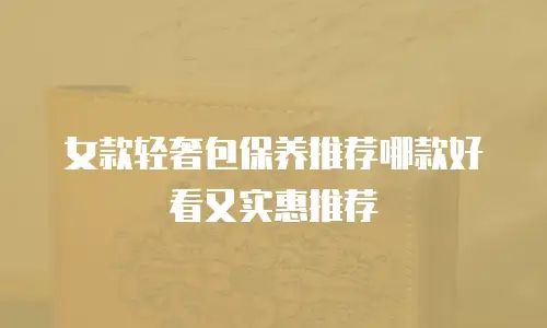 女款轻奢包保养推荐哪款好看又实惠推荐
