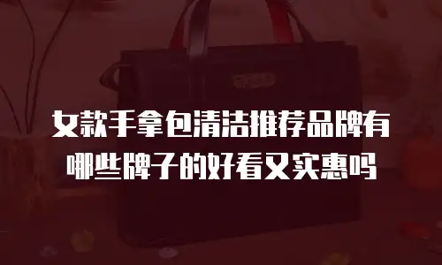 女款手拿包清洁推荐品牌有哪些牌子的好看又实惠吗
