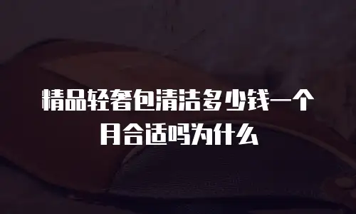精品轻奢包清洁多少钱一个月合适吗为什么
