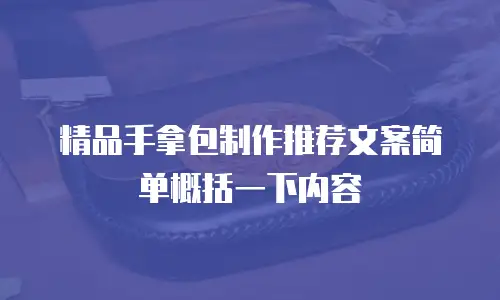 精品手拿包制作推荐文案简单概括一下内容