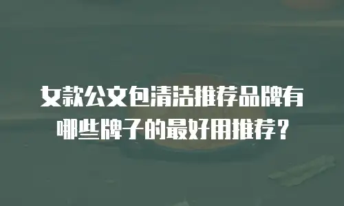 女款公文包清洁推荐品牌有哪些牌子的最好用推荐？