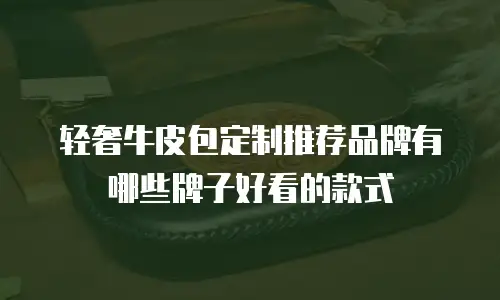 轻奢牛皮包定制推荐品牌有哪些牌子好看的款式