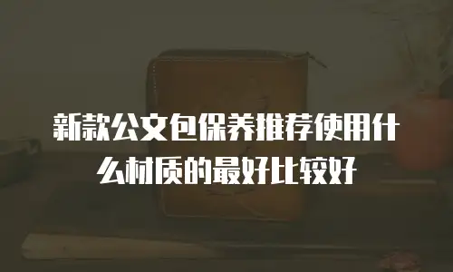 新款公文包保养推荐使用什么材质的最好比较好