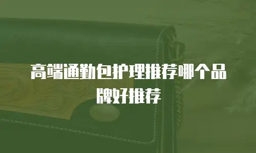 高端通勤包护理推荐哪个品牌好推荐