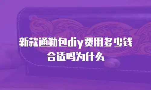 新款通勤包diy费用多少钱合适吗为什么