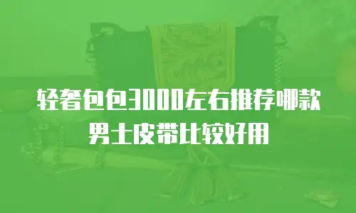 轻奢包包3000左右推荐哪款男士皮带比较好用