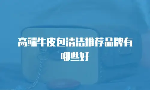 高端牛皮包清洁推荐品牌有哪些好