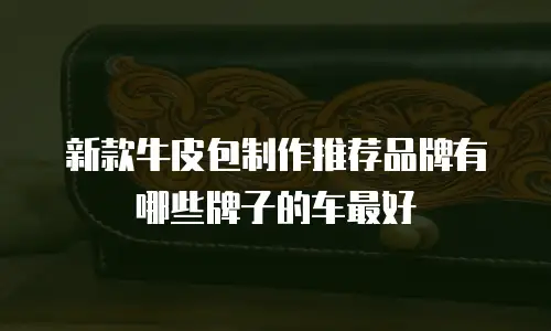 新款牛皮包制作推荐品牌有哪些牌子的车最好