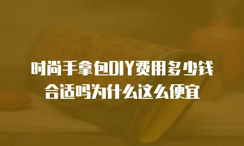 时尚手拿包DIY费用多少钱合适吗为什么这么便宜