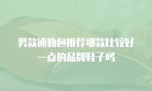 男款通勤包推荐哪款比较好一点的品牌鞋子吗