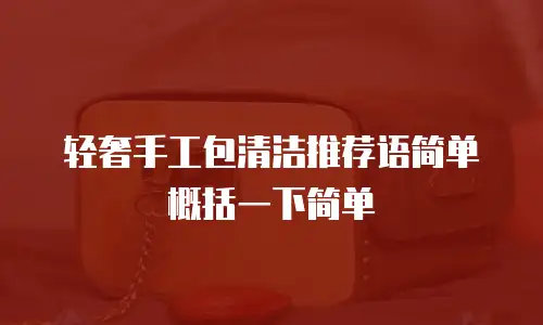 轻奢手工包清洁推荐语简单概括一下简单
