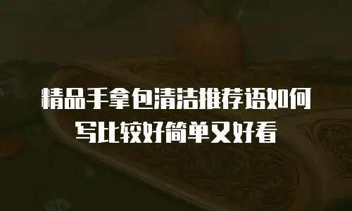 精品手拿包清洁推荐语如何写比较好简单又好看