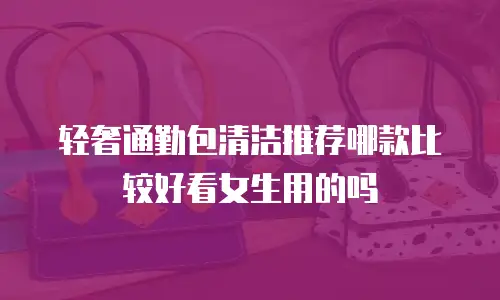轻奢通勤包清洁推荐哪款比较好看女生用的吗