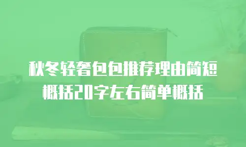 秋冬轻奢包包推荐理由简短概括20字左右简单概括