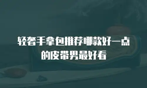 轻奢手拿包推荐哪款好一点的皮带男最好看