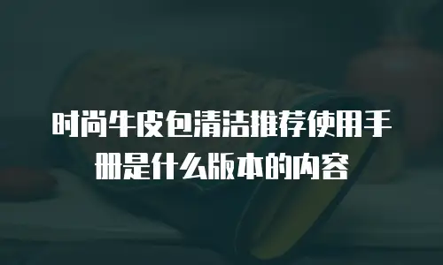 时尚牛皮包清洁推荐使用手册是什么版本的内容