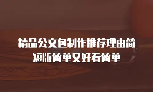 精品公文包制作推荐理由简短版简单又好看简单