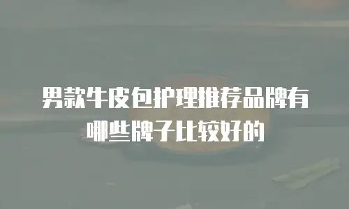 男款牛皮包护理推荐品牌有哪些牌子比较好的