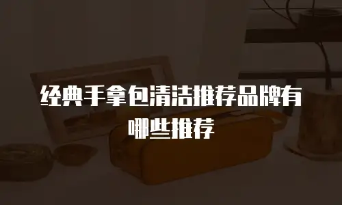 经典手拿包清洁推荐品牌有哪些推荐
