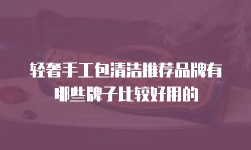 轻奢手工包清洁推荐品牌有哪些牌子比较好用的