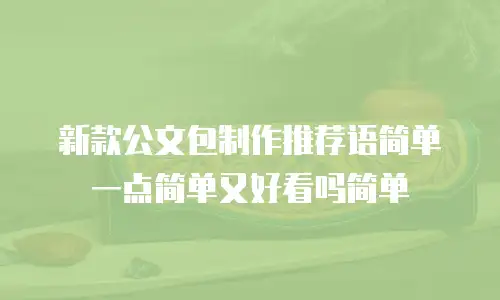 新款公文包制作推荐语简单一点简单又好看吗简单