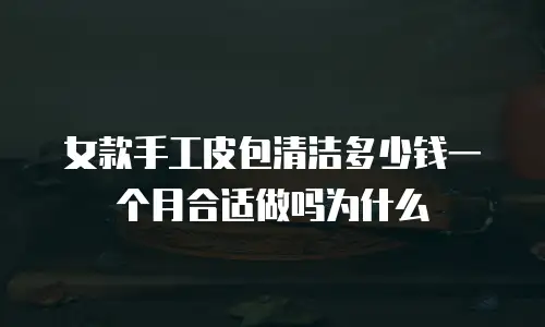 女款手工皮包清洁多少钱一个月合适做吗为什么