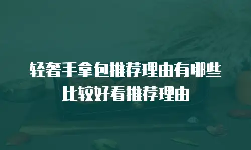 轻奢手拿包推荐理由有哪些比较好看推荐理由