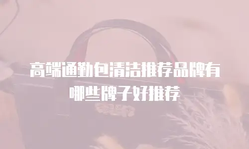 高端通勤包清洁推荐品牌有哪些牌子好推荐
