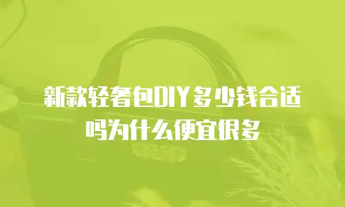 新款轻奢包DIY多少钱合适吗为什么便宜很多