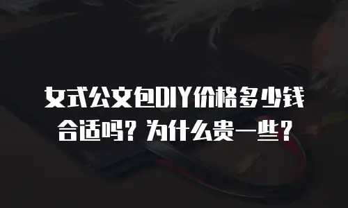 女式公文包DIY价格多少钱合适吗？为什么贵一些？