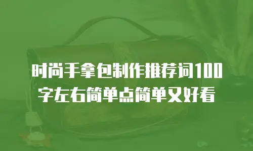 时尚手拿包制作推荐词100字左右简单点简单又好看