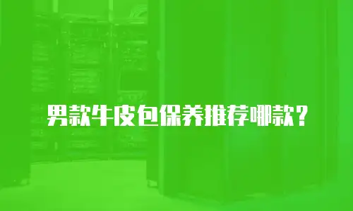 男款牛皮包保养推荐哪款？