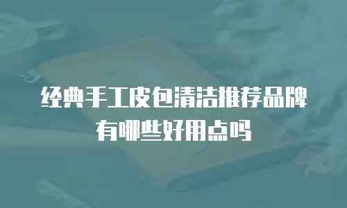 经典手工皮包清洁推荐品牌有哪些好用点吗