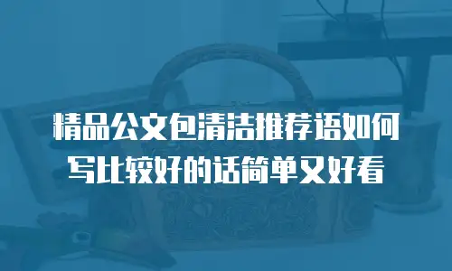 精品公文包清洁推荐语如何写比较好的话简单又好看