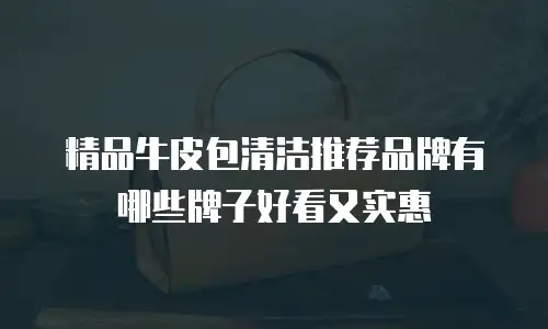 精品牛皮包清洁推荐品牌有哪些牌子好看又实惠