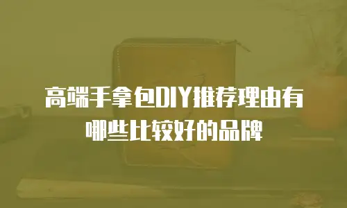 高端手拿包DIY推荐理由有哪些比较好的品牌