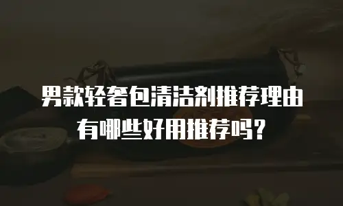 男款轻奢包清洁剂推荐理由有哪些好用推荐吗？