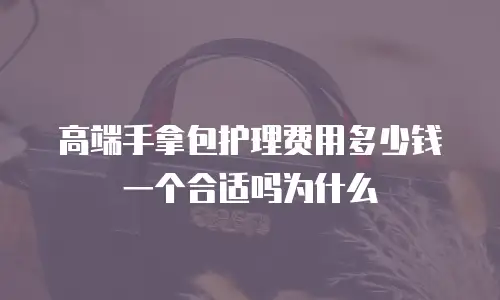 高端手拿包护理费用多少钱一个合适吗为什么