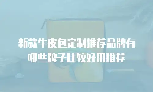 新款牛皮包定制推荐品牌有哪些牌子比较好用推荐