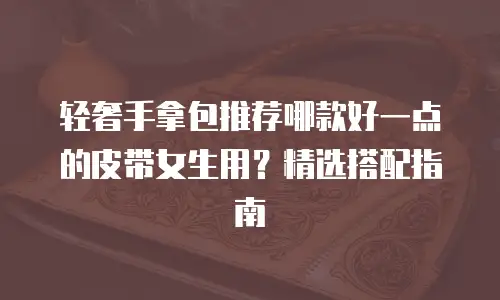 轻奢手拿包推荐哪款好一点的皮带女生用？精选搭配指南