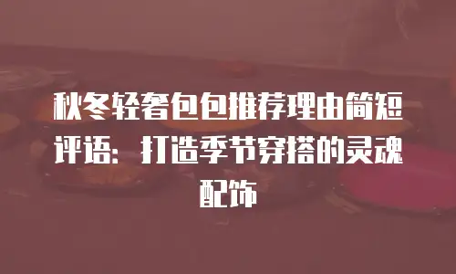 秋冬轻奢包包推荐理由简短评语：打造季节穿搭的灵魂配饰