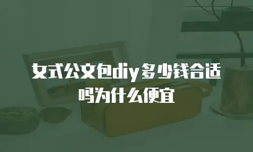 女式公文包diy多少钱合适吗为什么便宜