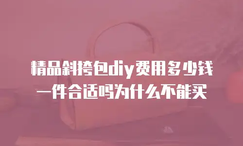 精品斜挎包diy费用多少钱一件合适吗为什么不能买