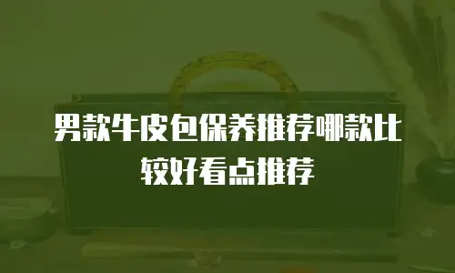 男款牛皮包保养推荐哪款比较好看点推荐