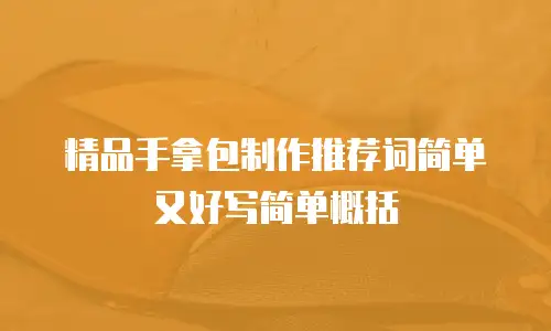 精品手拿包制作推荐词简单又好写简单概括