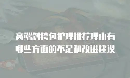 高端斜挎包护理推荐理由有哪些方面的不足和改进建议